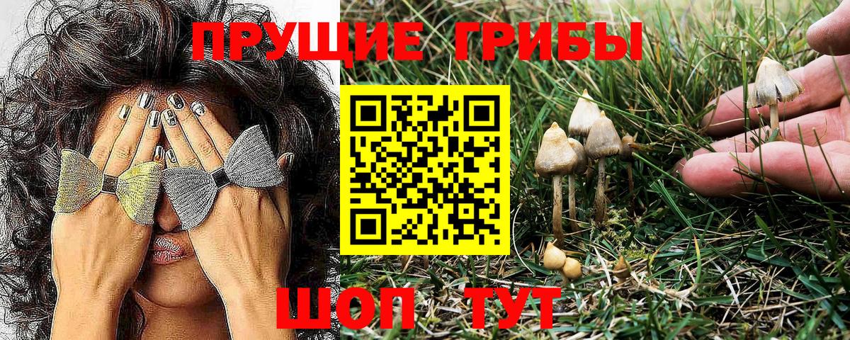 Псилоцибиновые грибы MAGIC MUSHROOMS Ульяновск