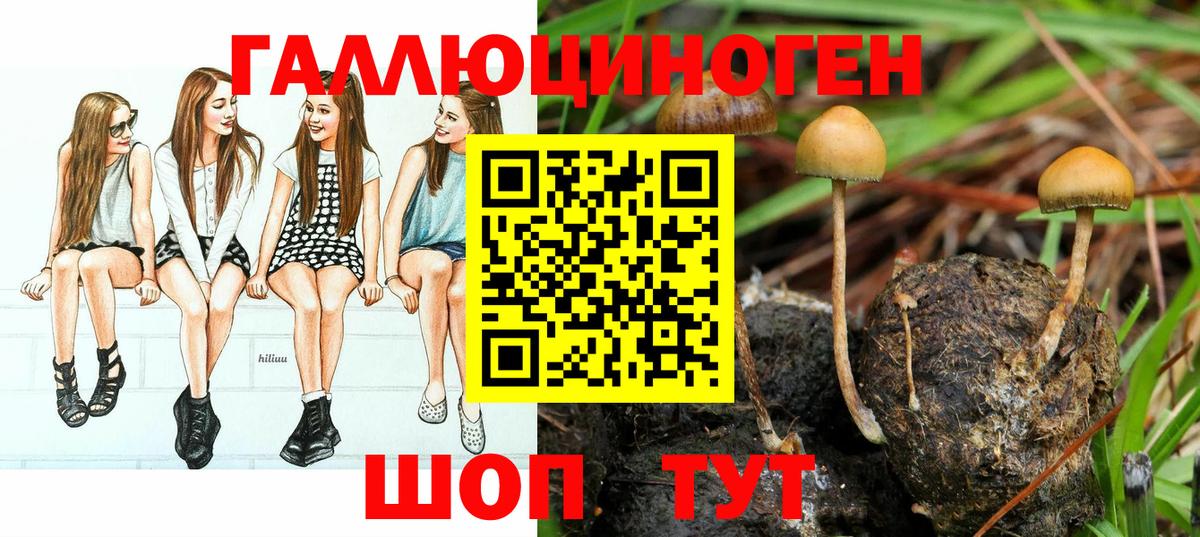 Галлюциногенные грибы Magic Shrooms  Псилоцибиновые грибы Psilocybe  Вход с VPN  Ульяновск 